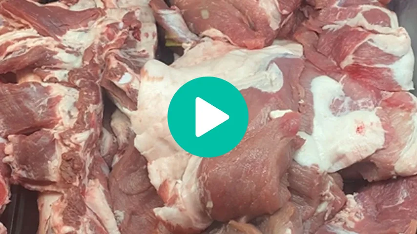 video7